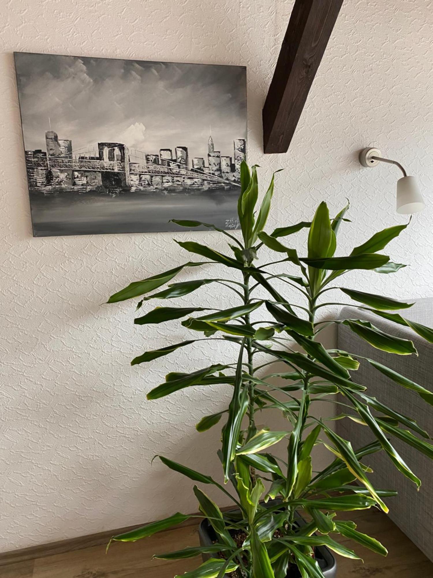 Ferienwohnung Malk Traben-Trarbach Extérieur photo